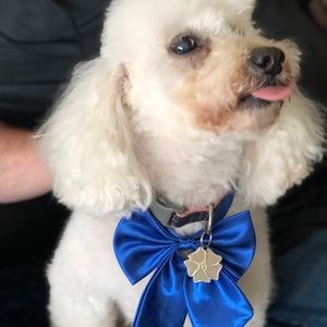 Meet your Posher, Carl